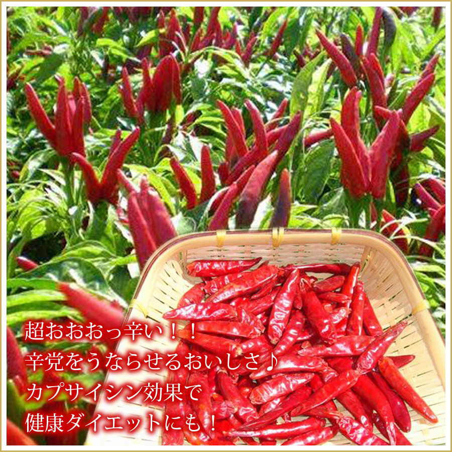 超おおおっ辛い！！辛党をうならせるおいしさ♪