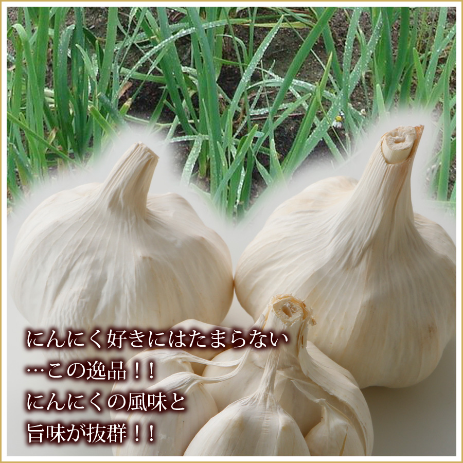 にんにく好きにはたまらない…この逸品！！